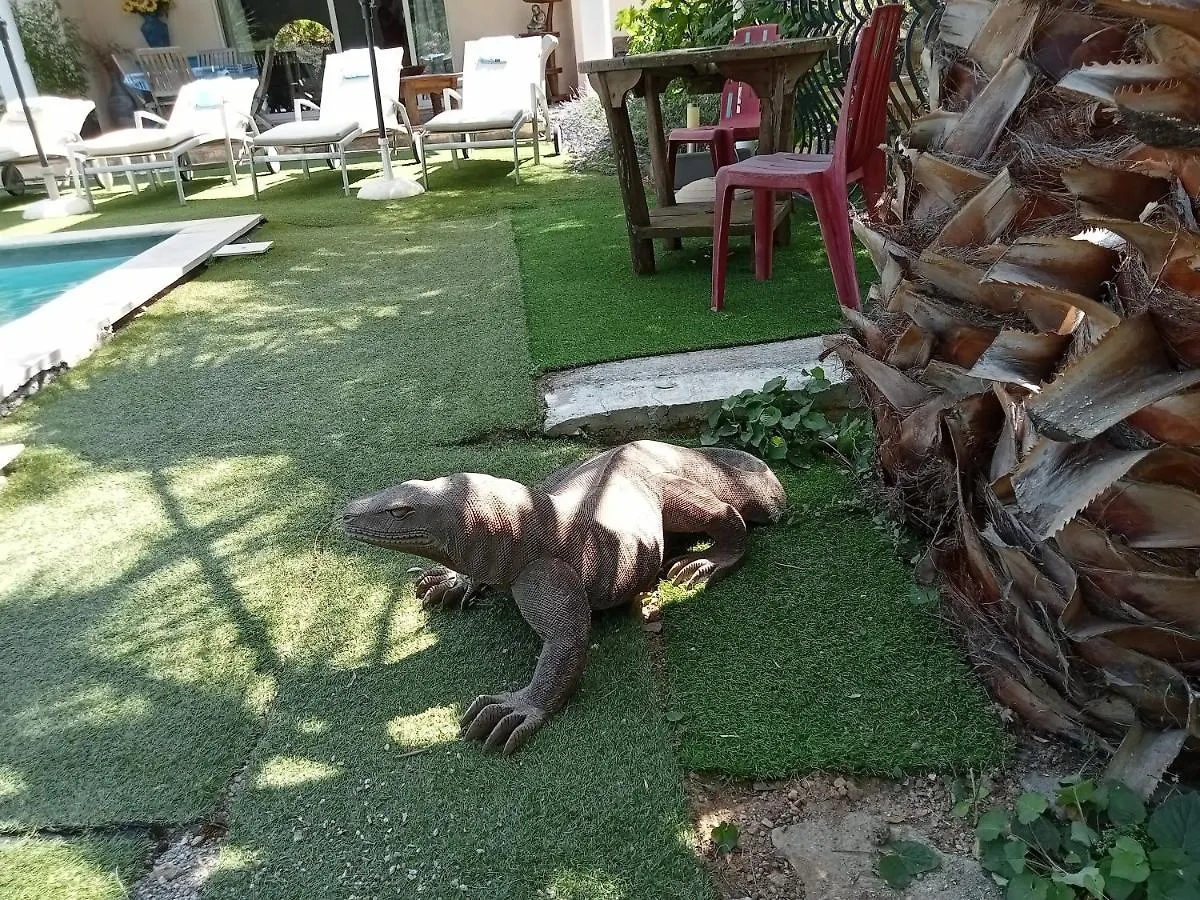 Villa La Croisette Sainte-Maxime 0*,