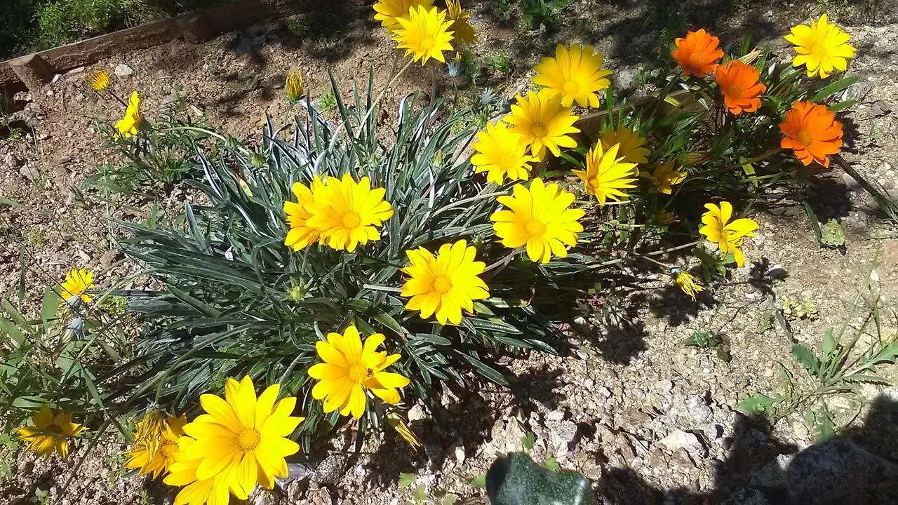 Villa La Croisette Sainte-Maxime France